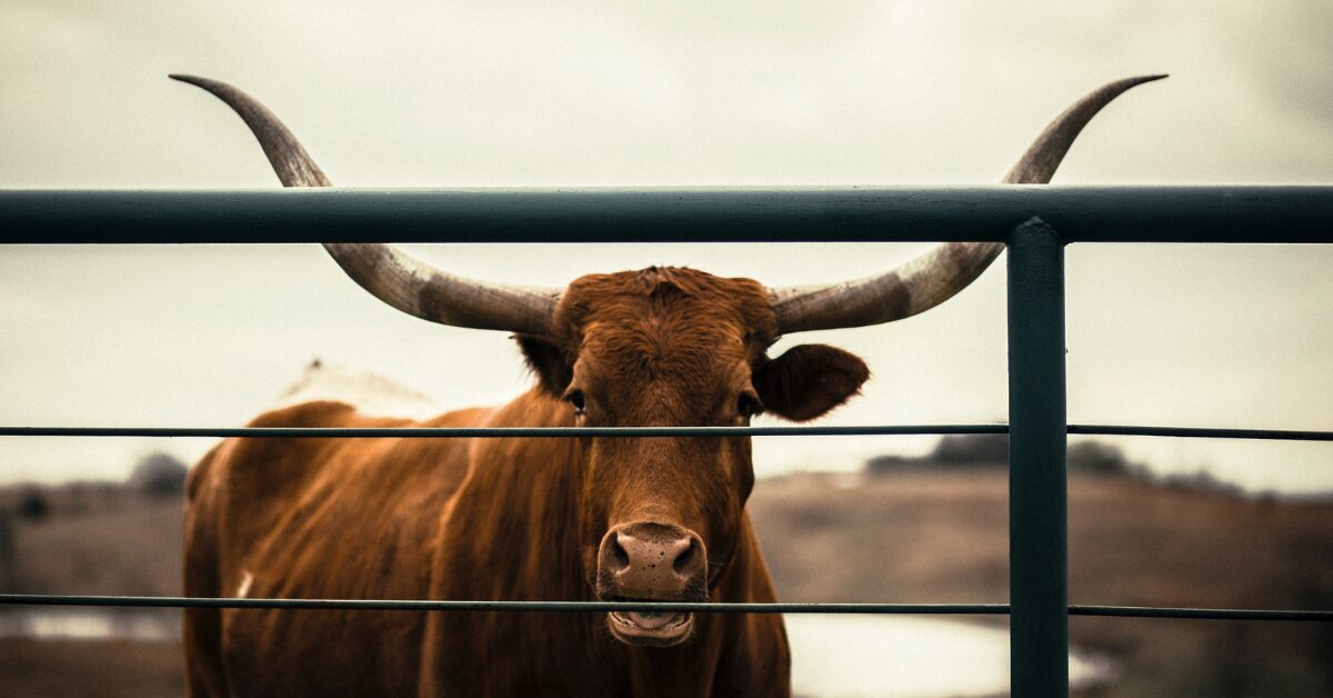 Will farmers and ranchers continue to enjoy agricultural tax exemptions after TEXIT?